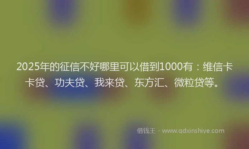 2025年的征信不好哪里可以借到1000有：维信卡卡贷、功夫贷、我来贷、东方汇、微粒贷等。