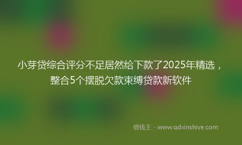 小芽贷综合评分不足居然给下款了2025年精选，整合5个摆脱欠款束缚贷款新软件