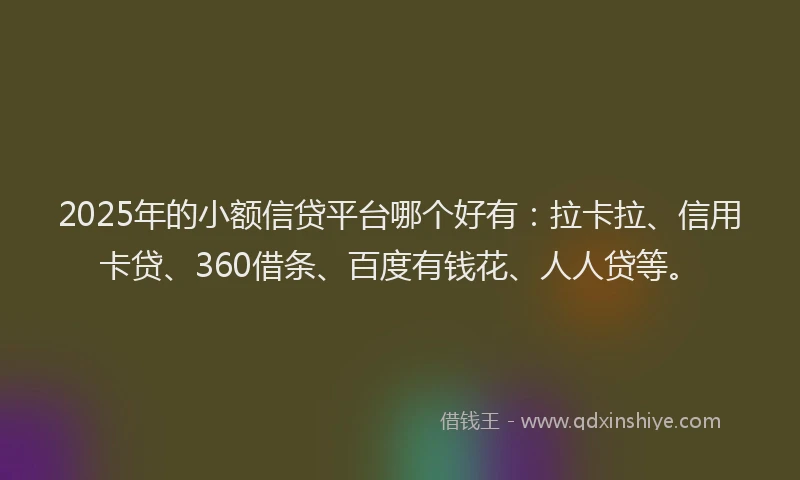 2025年的小额信贷平台哪个好有：拉卡拉、信用卡贷、360借条、百度有钱花、人人贷等。