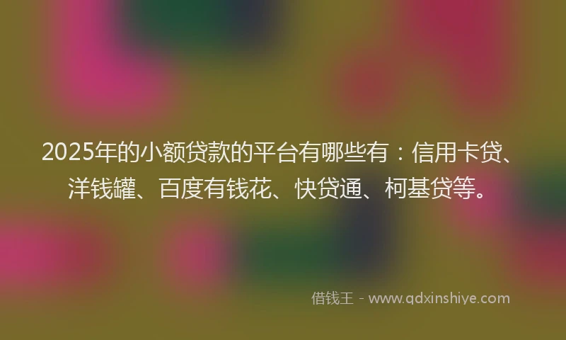 2025年的小额贷款的平台有哪些有：信用卡贷、洋钱罐、百度有钱花、快贷通、柯基贷等。