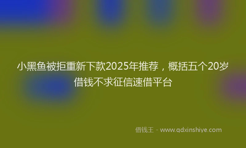 小黑鱼被拒重新下款2025年推荐，概括五个20岁借钱不求征信速借平台