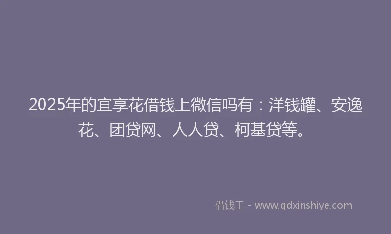 2025年的宜享花借钱上微信吗有：洋钱罐、安逸花、团贷网、人人贷、柯基贷等。