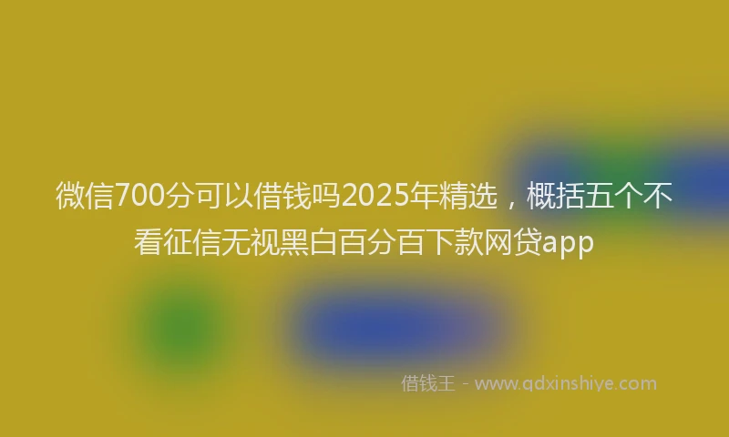 微信700分可以借钱吗2025年精选，概括五个不看征信无视黑白百分百下款网贷app