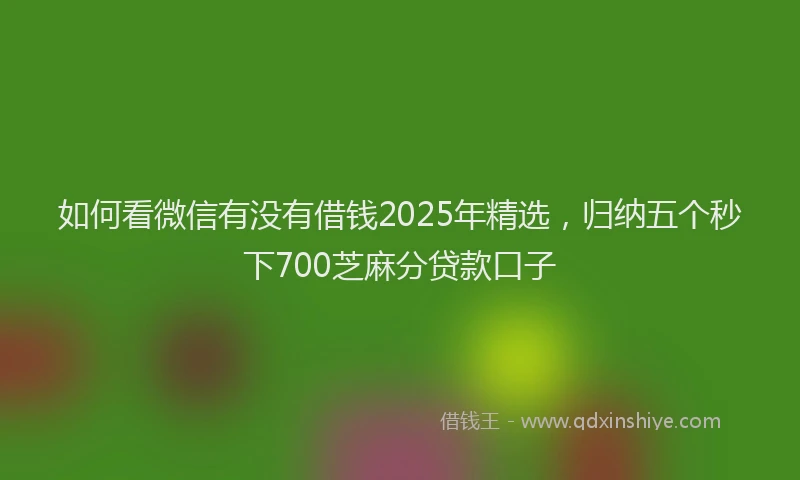 如何看微信有没有借钱2025年精选，归纳五个秒下700芝麻分贷款口子