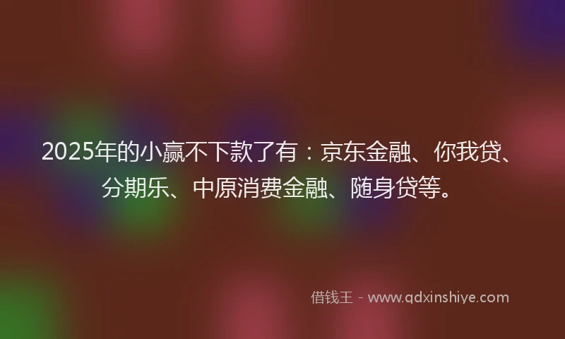 2025年的小赢不下款了有：京东金融、你我贷、分期乐、中原消费金融、随身贷等。