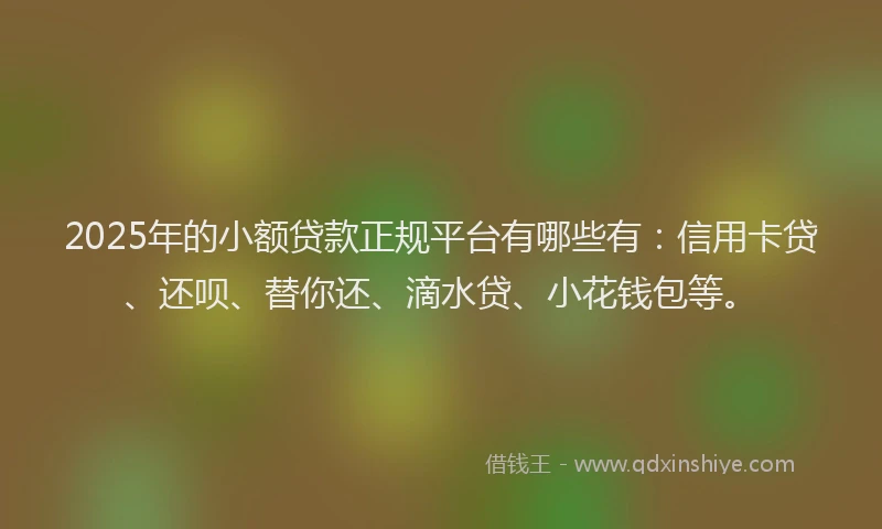 2025年的小额贷款正规平台有哪些有：信用卡贷、还呗、替你还、滴水贷、小花钱包等。
