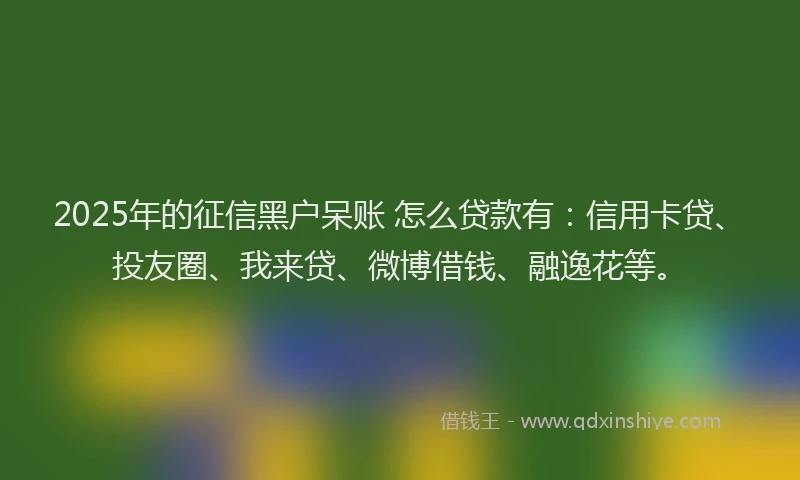 2025年的征信黑户呆账 怎么贷款有：信用卡贷、投友圈、我来贷、微博借钱、融逸花等。