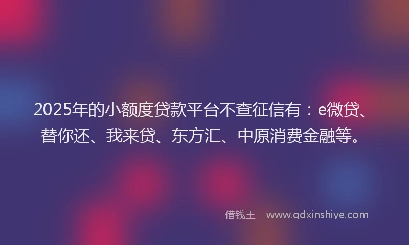 2025年的小额度贷款平台不查征信有：e微贷、替你还、我来贷、东方汇、中原消费金融等。