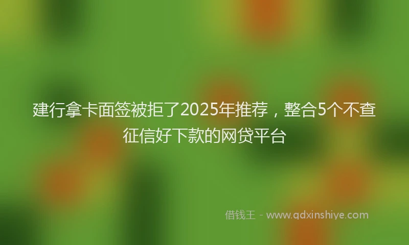 建行拿卡面签被拒了2025年推荐，整合5个不查征信好下款的网贷平台