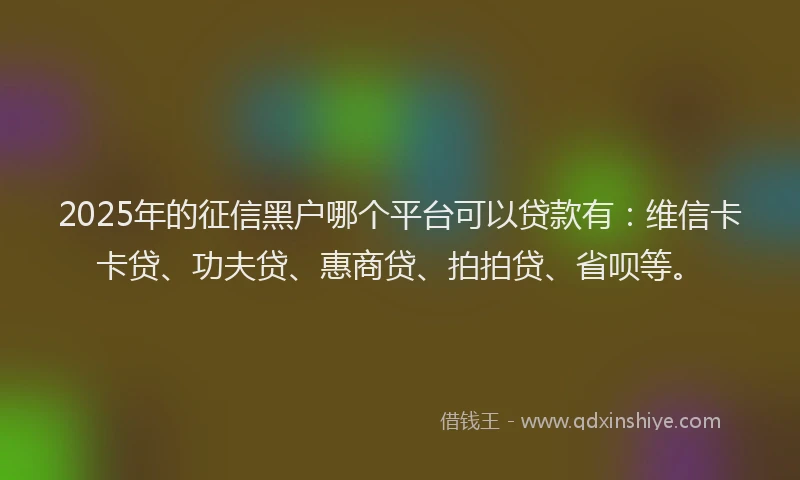 2025年的征信黑户哪个平台可以贷款有：维信卡卡贷、功夫贷、惠商贷、拍拍贷、省呗等。