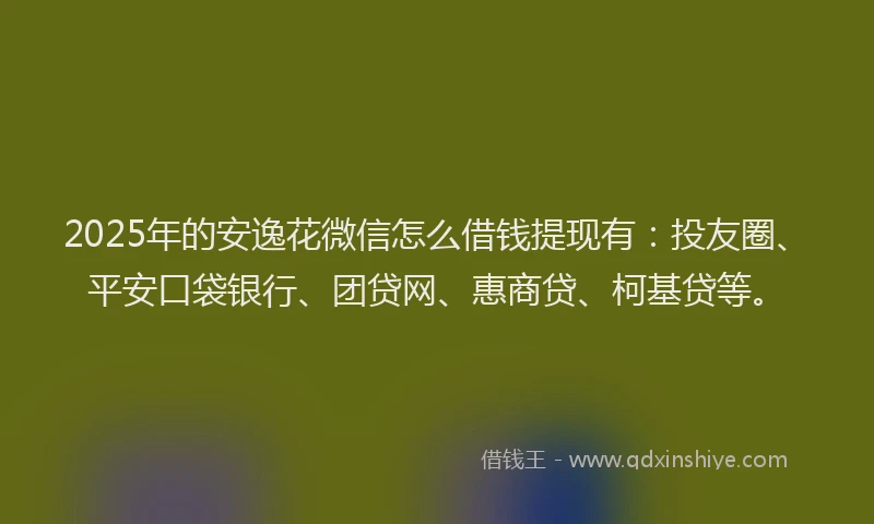 2025年的安逸花微信怎么借钱提现有：投友圈、平安口袋银行、团贷网、惠商贷、柯基贷等。