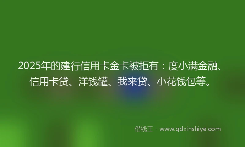 2025年的建行信用卡金卡被拒有：度小满金融、信用卡贷、洋钱罐、我来贷、小花钱包等。