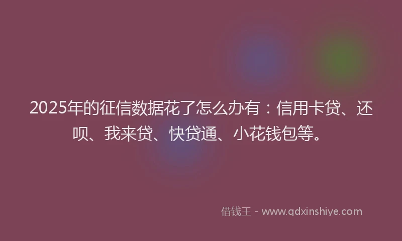 2025年的征信数据花了怎么办有：信用卡贷、还呗、我来贷、快贷通、小花钱包等。