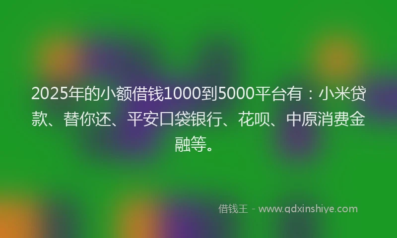 2025年的小额借钱1000到5000平台有：小米贷款、替你还、平安口袋银行、花呗、中原消费金融等。