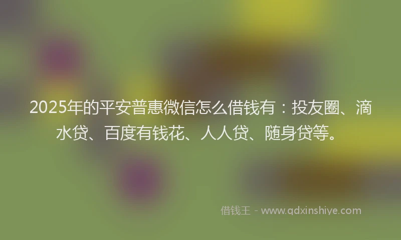 2025年的平安普惠微信怎么借钱有：投友圈、滴水贷、百度有钱花、人人贷、随身贷等。