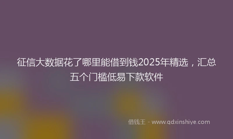 征信大数据花了哪里能借到钱2025年精选，汇总五个门槛低易下款软件