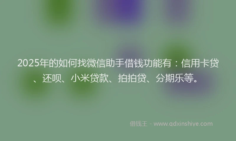 2025年的如何找微信助手借钱功能有：信用卡贷、还呗、小米贷款、拍拍贷、分期乐等。
