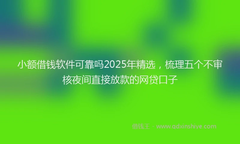 小额借钱软件可靠吗2025年精选，梳理五个不审核夜间直接放款的网贷口子