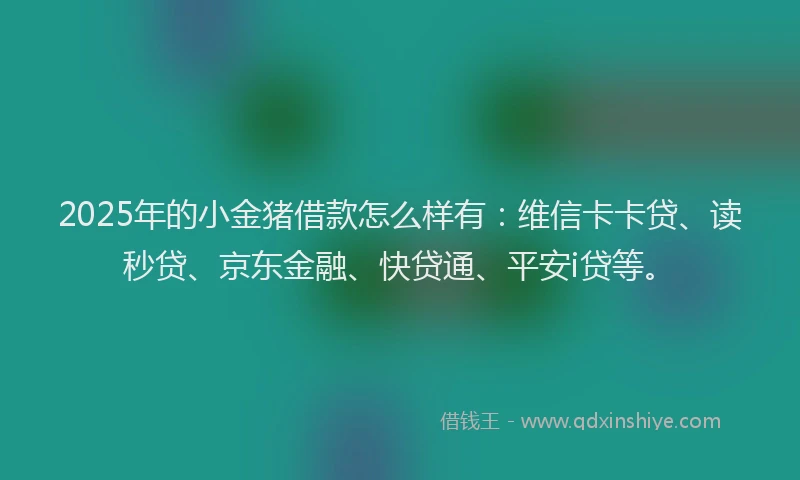 2025年的小金猪借款怎么样有：维信卡卡贷、读秒贷、京东金融、快贷通、平安i贷等。