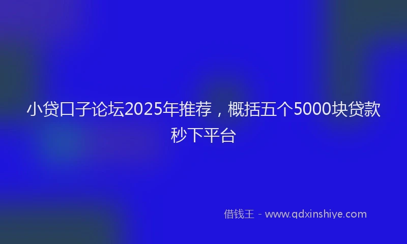 小贷口子论坛2025年推荐，概括五个5000块贷款秒下平台