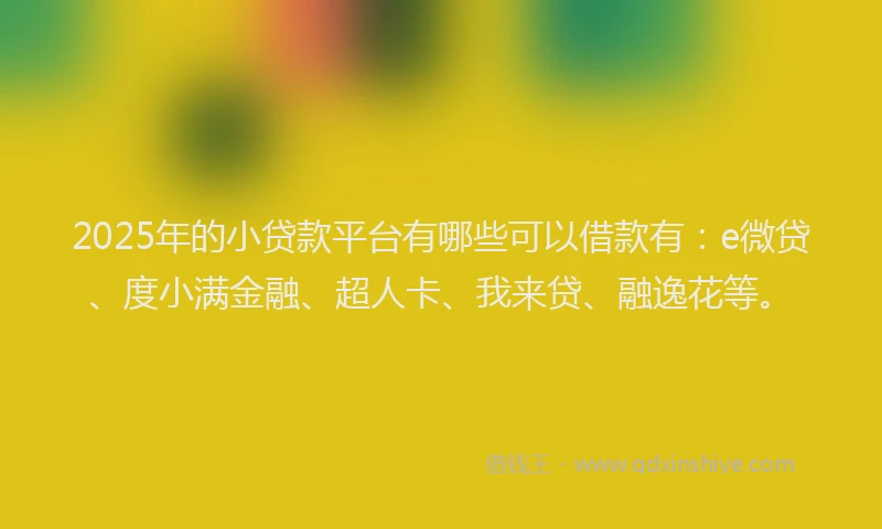 2025年的小贷款平台有哪些可以借款有：e微贷、度小满金融、超人卡、我来贷、融逸花等。