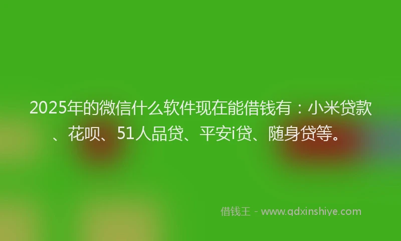 2025年的微信什么软件现在能借钱有：小米贷款、花呗、51人品贷、平安i贷、随身贷等。
