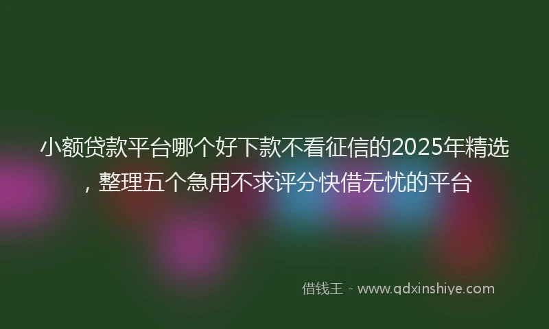 小额贷款平台哪个好下款不看征信的2025年精选，整理五个急用不求评分快借无忧的平台