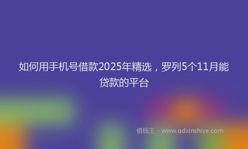 如何用手机号借款2025年精选，罗列5个11月能贷款的平台
