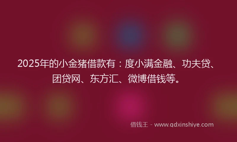 2025年的小金猪借款有：度小满金融、功夫贷、团贷网、东方汇、微博借钱等。