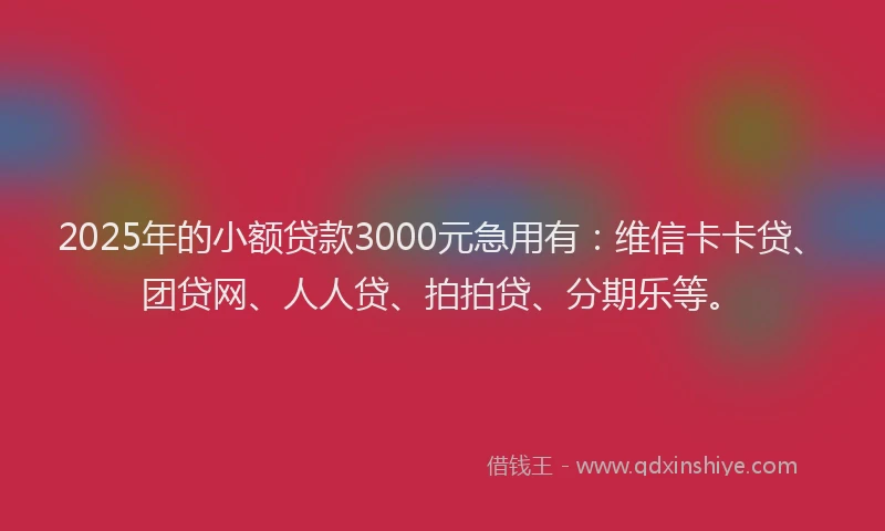 2025年的小额贷款3000元急用有：维信卡卡贷、团贷网、人人贷、拍拍贷、分期乐等。