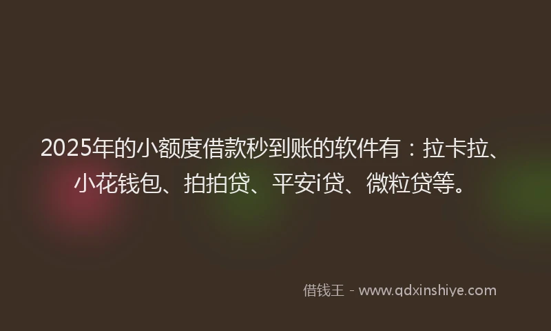 2025年的小额度借款秒到账的软件有：拉卡拉、小花钱包、拍拍贷、平安i贷、微粒贷等。