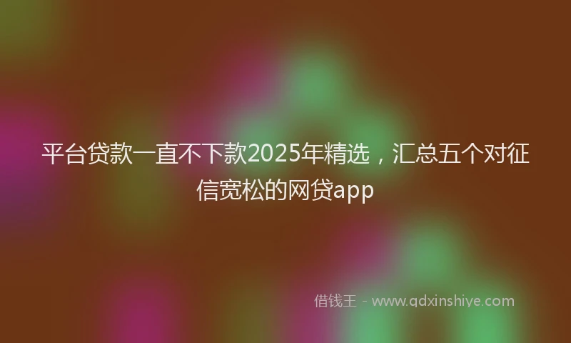 平台贷款一直不下款2025年精选，汇总五个对征信宽松的网贷app