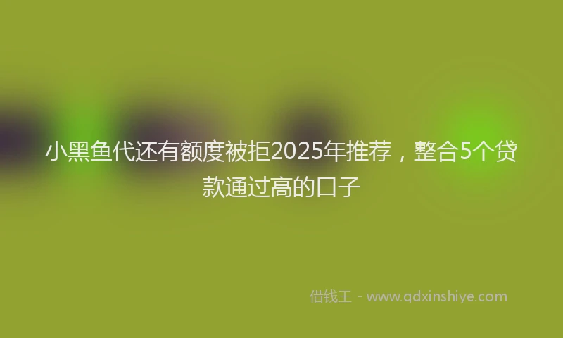 小黑鱼代还有额度被拒2025年推荐，整合5个贷款通过高的口子