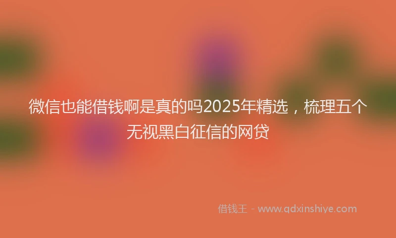 微信也能借钱啊是真的吗2025年精选，梳理五个无视黑白征信的网贷