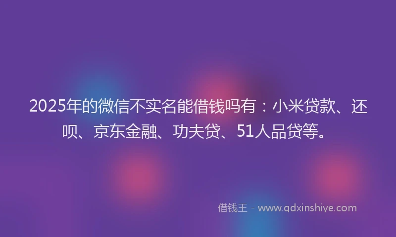 2025年的微信不实名能借钱吗有：小米贷款、还呗、京东金融、功夫贷、51人品贷等。