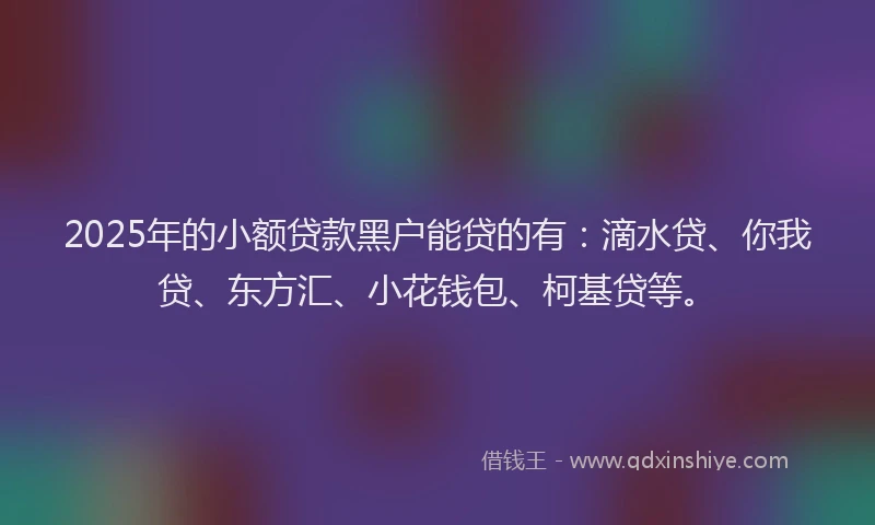 2025年的小额贷款黑户能贷的有：滴水贷、你我贷、东方汇、小花钱包、柯基贷等。