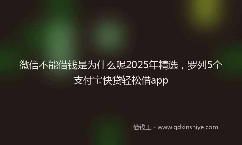 微信不能借钱是为什么呢2025年精选，罗列5个支付宝快贷轻松借app