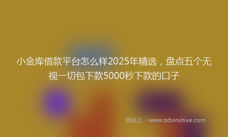 小金库借款平台怎么样2025年精选，盘点五个无视一切包下款5000秒下款的口子