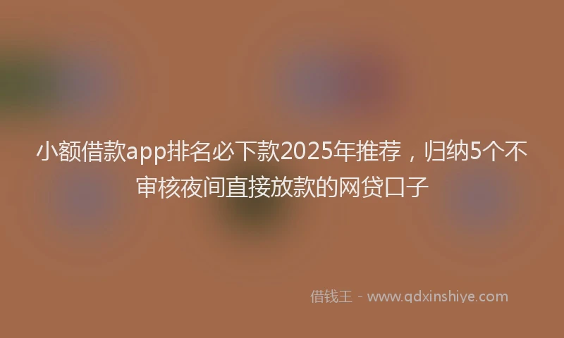 小额借款app排名必下款2025年推荐，归纳5个不审核夜间直接放款的网贷口子