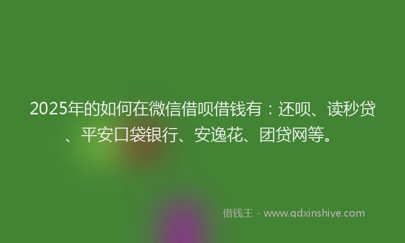 2025年的如何在微信借呗借钱有：还呗、读秒贷、平安口袋银行、安逸花、团贷网等。