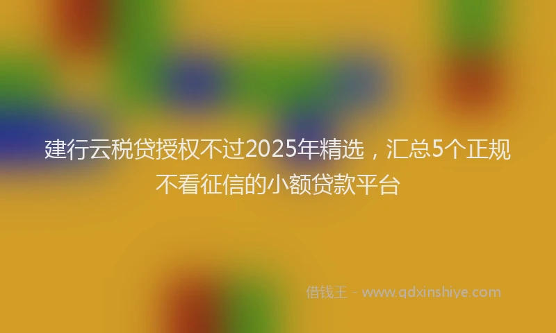 建行云税贷授权不过2025年精选，汇总5个正规不看征信的小额贷款平台