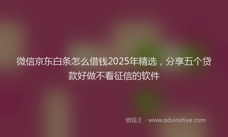 微信京东白条怎么借钱2025年精选，分享五个贷款好做不看征信的软件