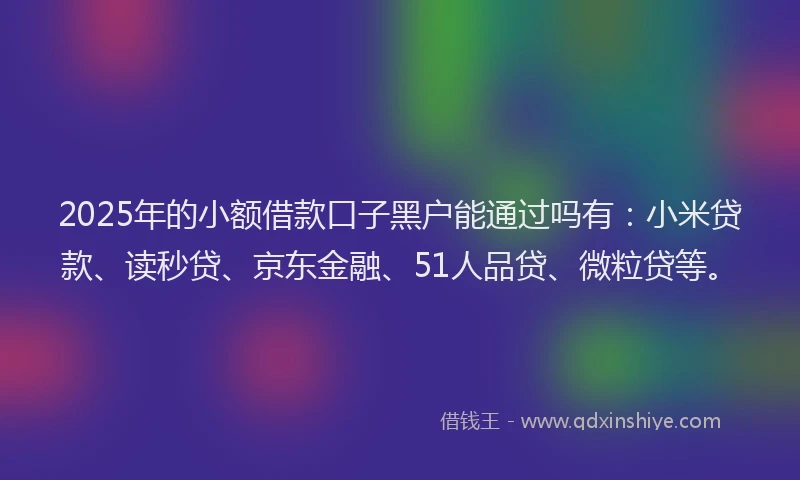 2025年的小额借款口子黑户能通过吗有：小米贷款、读秒贷、京东金融、51人品贷、微粒贷等。
