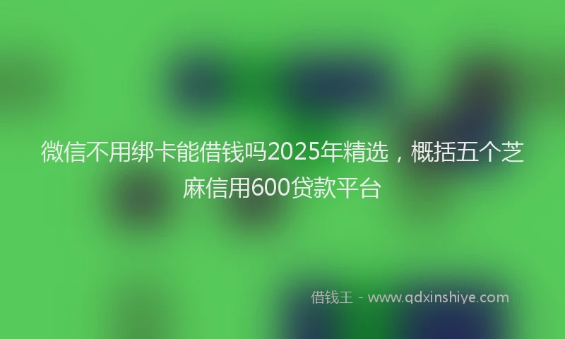 微信不用绑卡能借钱吗2025年精选，概括五个芝麻信用600贷款平台