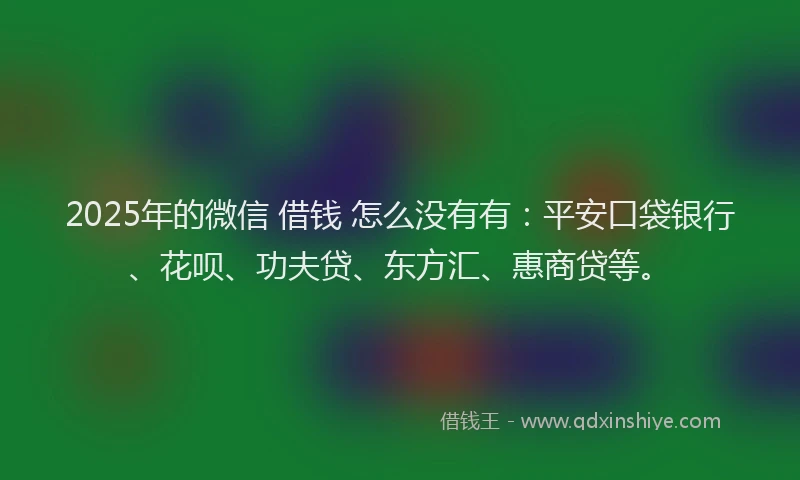 2025年的微信 借钱 怎么没有有：平安口袋银行、花呗、功夫贷、东方汇、惠商贷等。