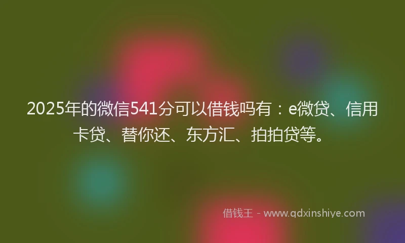 2025年的微信541分可以借钱吗有：e微贷、信用卡贷、替你还、东方汇、拍拍贷等。