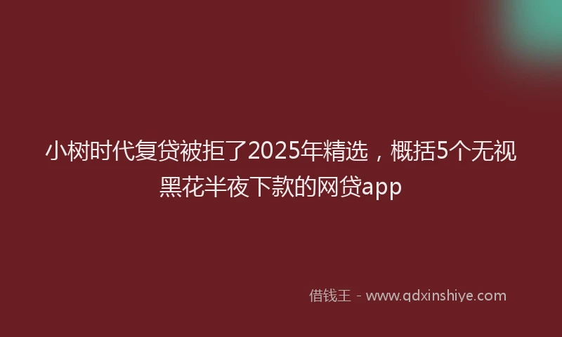 小树时代复贷被拒了2025年精选，概括5个无视黑花半夜下款的网贷app