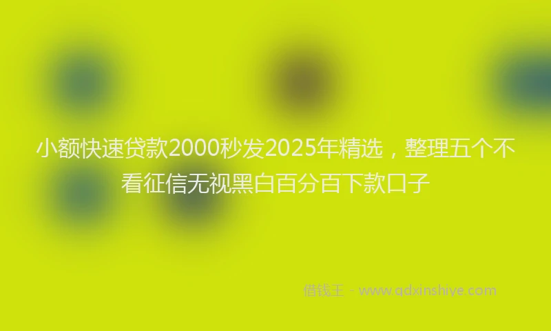 小额快速贷款2000秒发2025年精选，整理五个不看征信无视黑白百分百下款口子