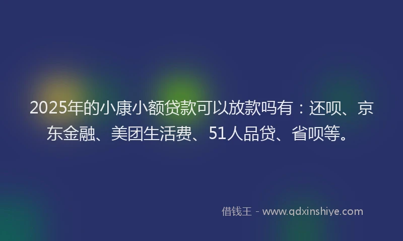 2025年的小康小额贷款可以放款吗有：还呗、京东金融、美团生活费、51人品贷、省呗等。