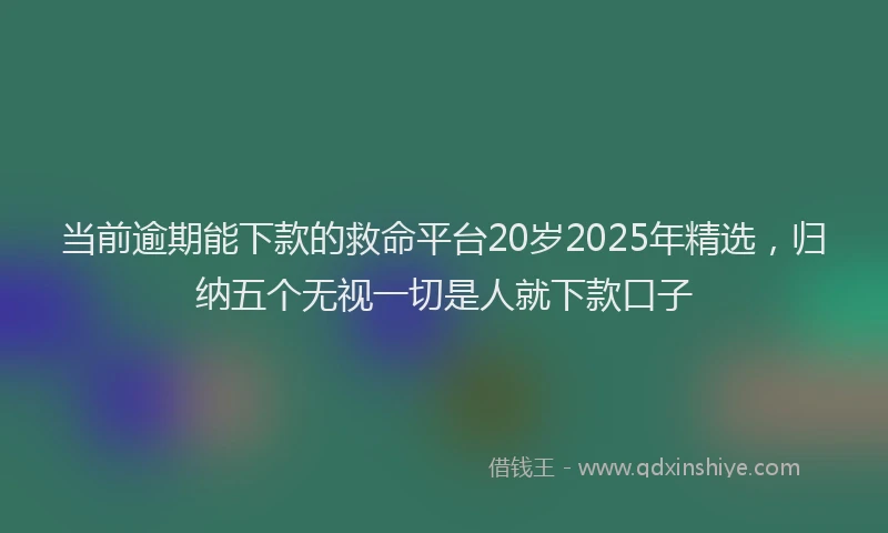 当前逾期能下款的救命平台20岁2025年精选，归纳五个无视一切是人就下款口子